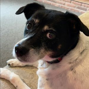 Meet your Posher, Sharon